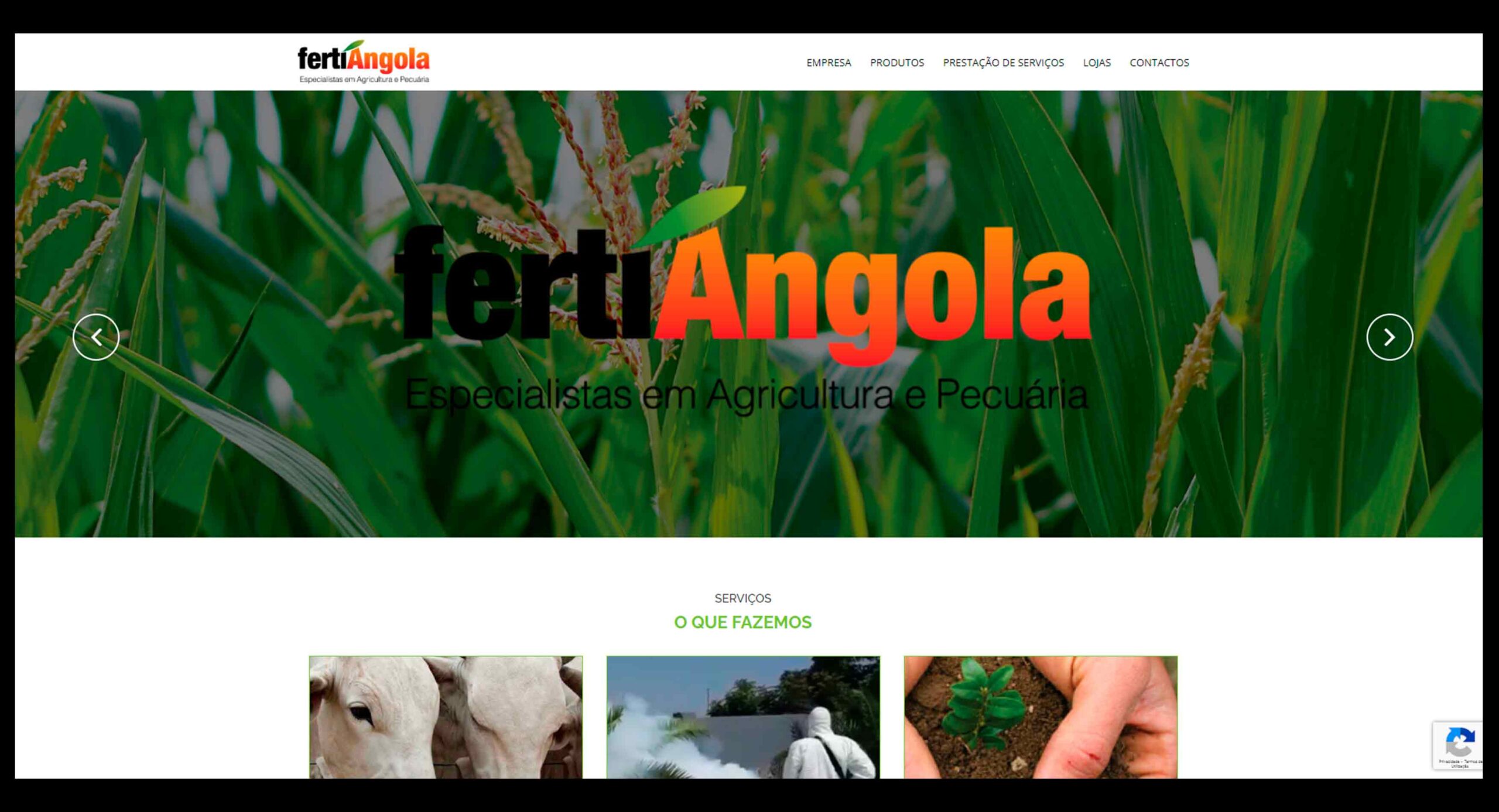 criação de sites website angola 13